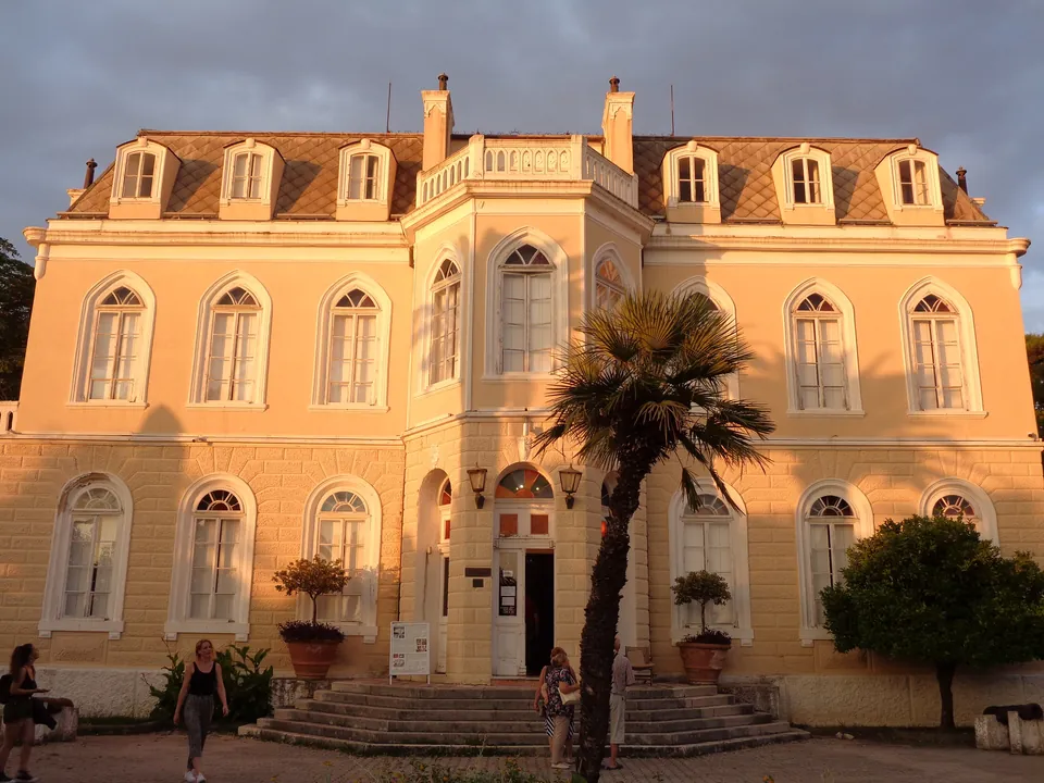 Ochre-yellow Villa Topolica in Bar with a tall palm tree before its entrance steps