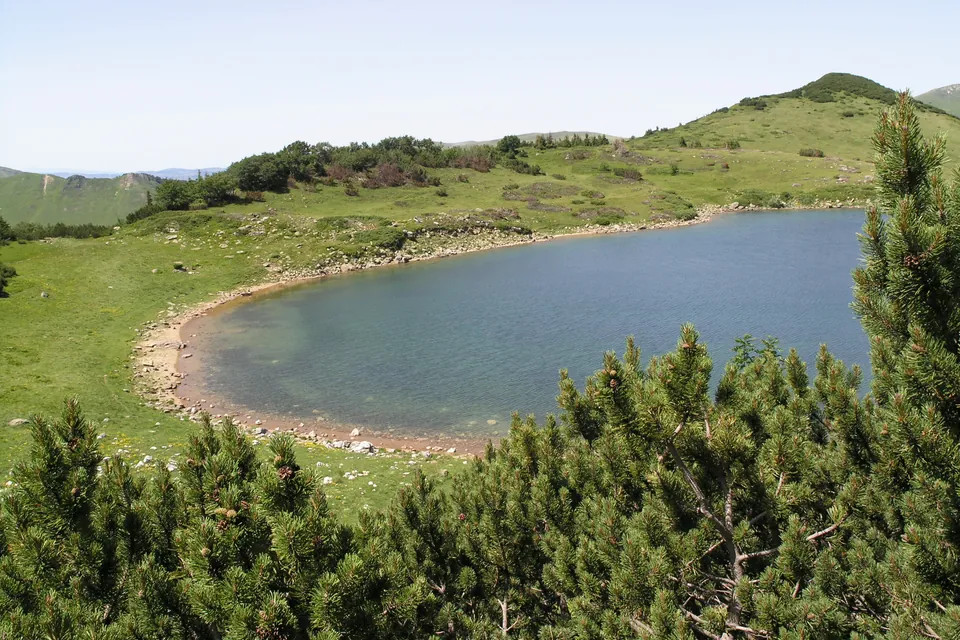 Small mountain lake on Bjelasica ringed by pines and grassy slopes under clouds