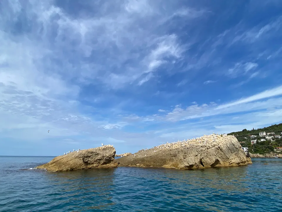 Rocky islet called Mali kamen off the Ulcinj coast covered with resting seagulls.