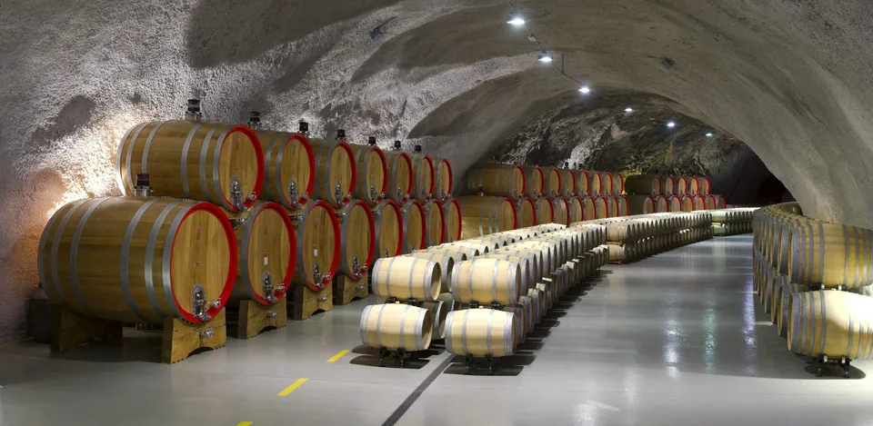 Oak barrels lining the underground cellar