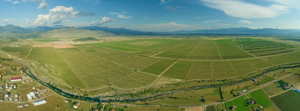 13 Jul Plantaže · photo 10
