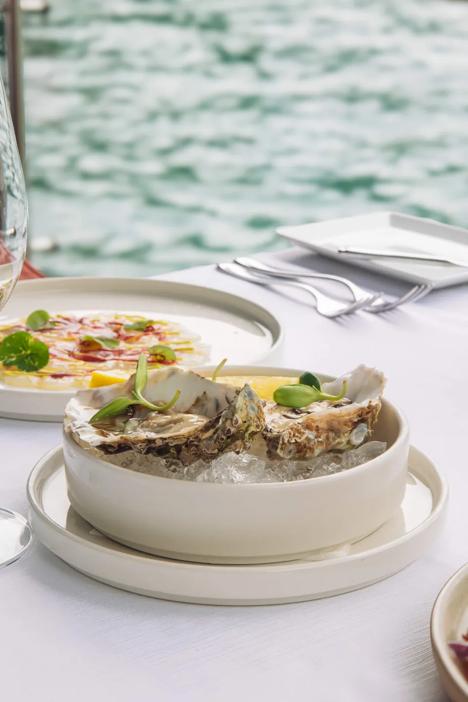 Oysters on ice and a starter on a waterside table