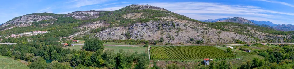 Vineyard plots below a limestone ridge
