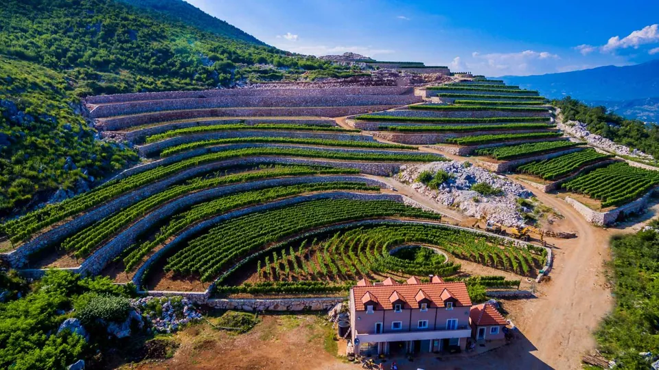 Vinarija Lipovac