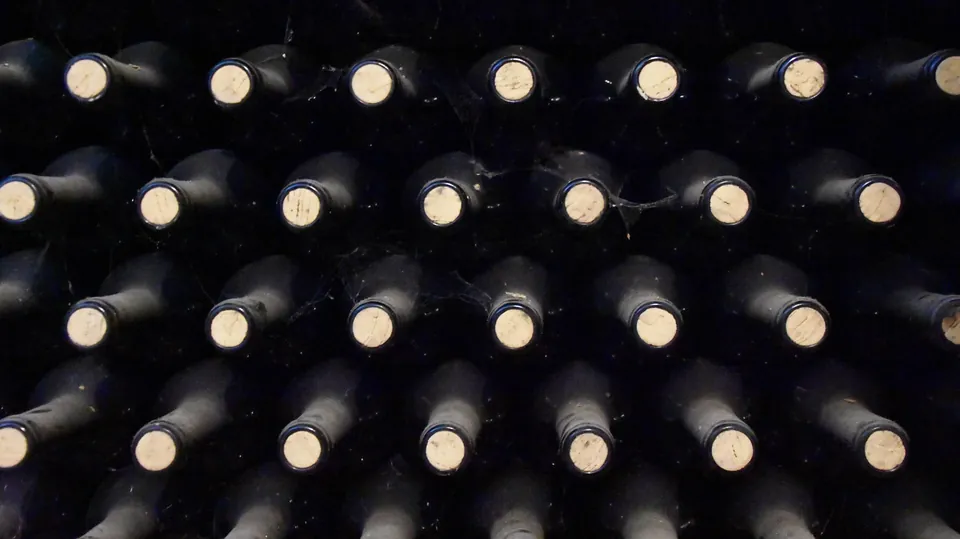 Wine bottles resting in a dark cellar rack